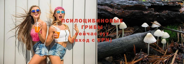 прущая мука Арсеньев