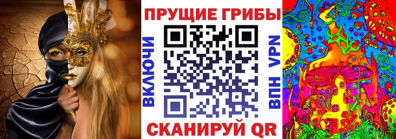 это клад  Белебей  Псилоцибиновые грибы GOLDEN TEACHER  цены наркотик 