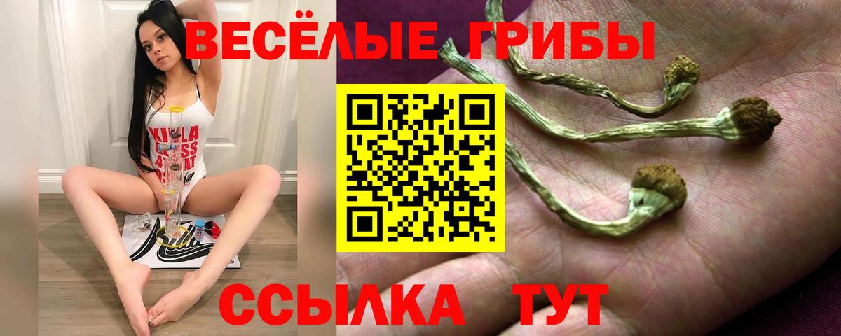 Белебей  Галлюциногенные грибы Magic Shrooms  цена   Вход с VPN 