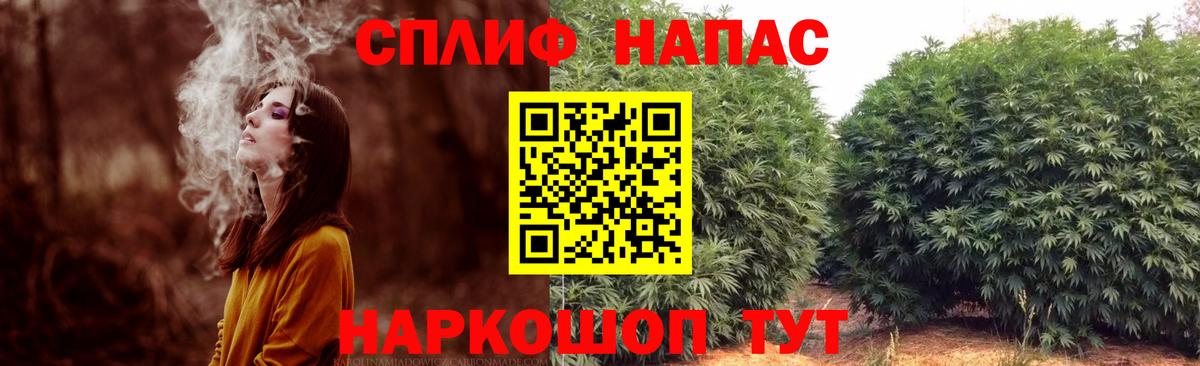 Каннабис план Белебей